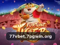 77v bet Aplicativo - 77v bet